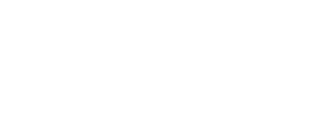 DWP Werbetechnik Logo weiß